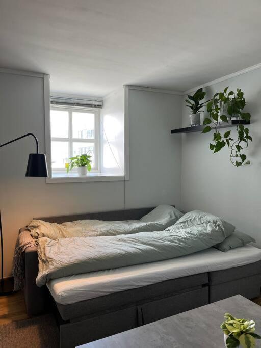 Appartement Cozy Ground Floor Tromsø