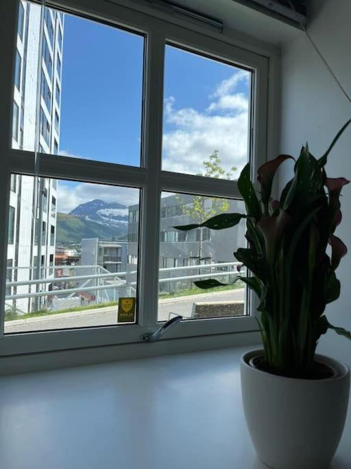 Appartement Cozy Ground Floor Tromsø