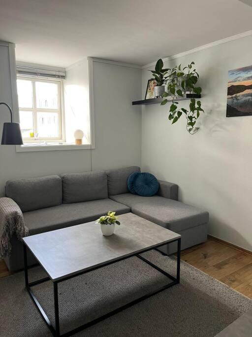 Appartement Cozy Ground Floor