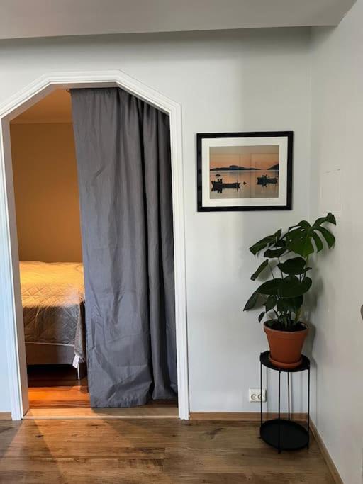 Cozy Ground Floor *